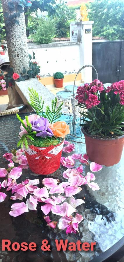 פאבל באניה Rose & Water Guest House מראה חיצוני תמונה